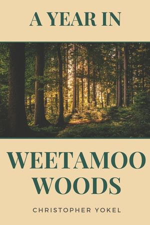 A Year in Weetamoo Woods image number 0
