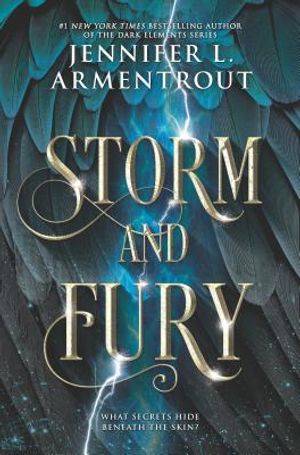 Storm and Fury image number 0