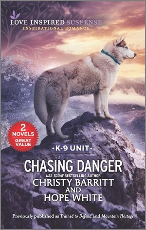 Chasing Danger image number 0