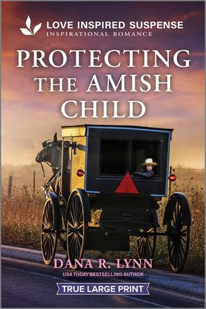 Protecting the Amish Child image number 0