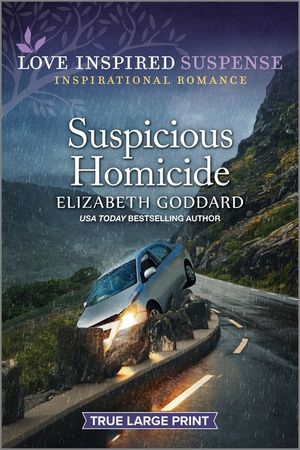 Suspicious Homicide image number 0