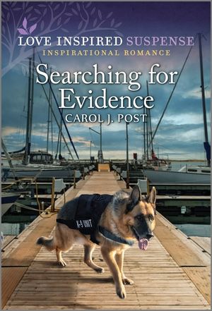 Searching for Evidence image number 0