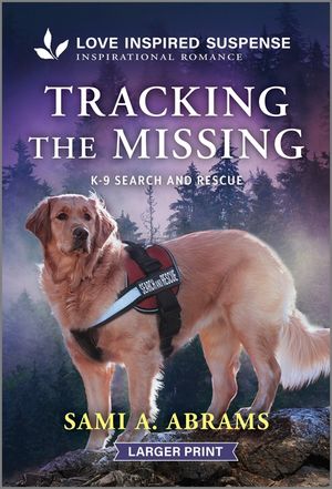 Tracking the Missing image number 0
