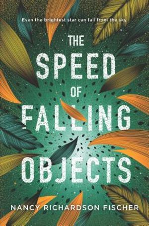 The Speed of Falling Objects image number 0