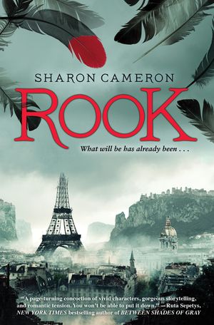 Rook image number 0