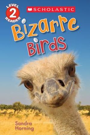 Bizarre Birds image number 0