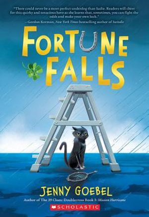 Fortune Falls image number 0