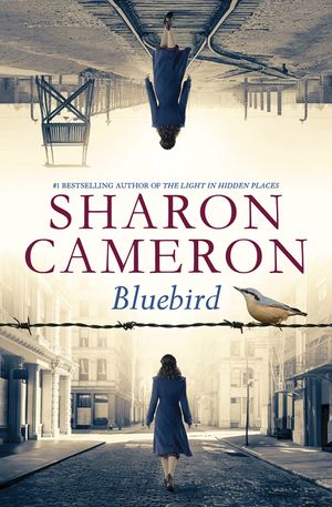Bluebird image number 0