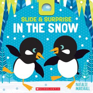 Slide & Surprise in the Snow image number 0
