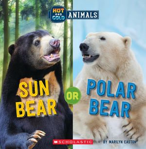 Sun Bear or Polar Bear (Hot and Cold Animals) image number 0