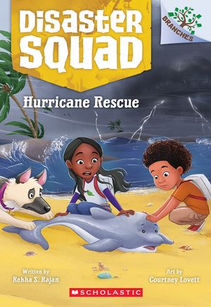 Hurricane Rescue image number 0
