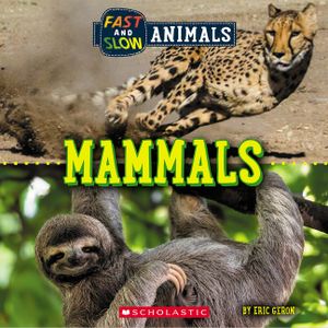 Fast and Slow: Mammals (Wild World) image number 0
