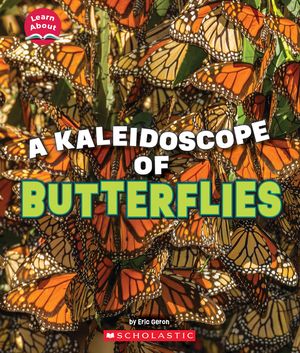 A Kaleidoscope of Butterflies (Learn About: Animals) image number 0
