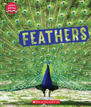 Feathers (Learn About) image number 0