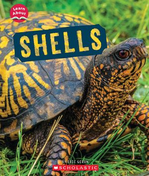 Shells (Learn About) image number 0