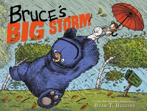 Bruce's Big Storm image number 0