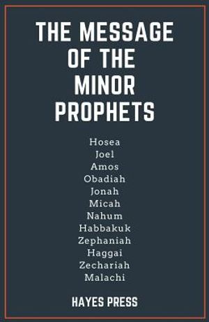 The Message of the Minor Prophets image number 0