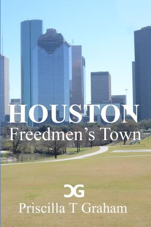 Houston Freedmen's Town image number 0