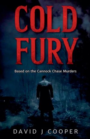 Cold Fury image number 0