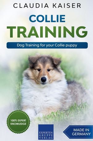 Collie Training - Dog Training for your Collie puppy image number 0
