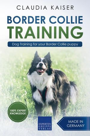 Border Collie Training - Dog Training for your Border Collie puppy image number 0