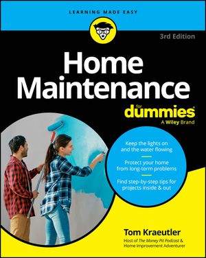 Home Maintenance for Dummies image number 0