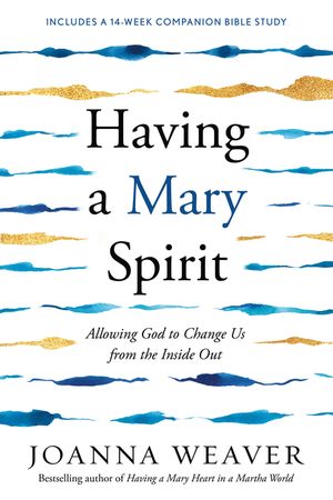 Having a Mary Spirit: Allowing God to Change Us from the Inside Out image number 0