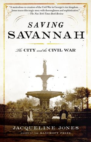 Saving Savannah: The City and the Civil War image number 0