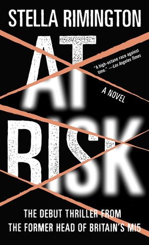 At Risk image number 0