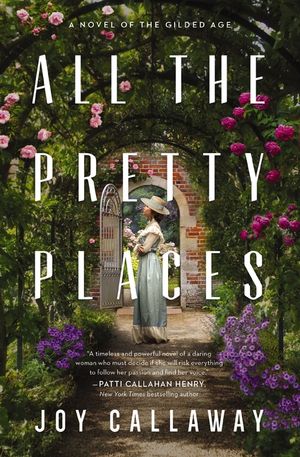 All the Pretty Places: A Novel of the Gilded Age image number 0