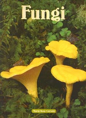 Fungi image number 0