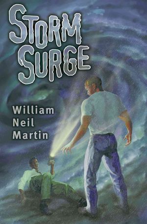 Storm Surge image number 0