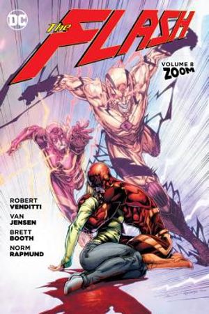 The Flash, Volume 8: Zoom image number 0