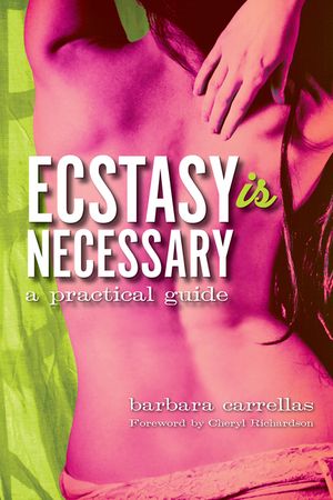 Ecstasy Is Necessary: A Practical Guide image number 0