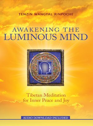 Awakening the Luminous Mind image number 0