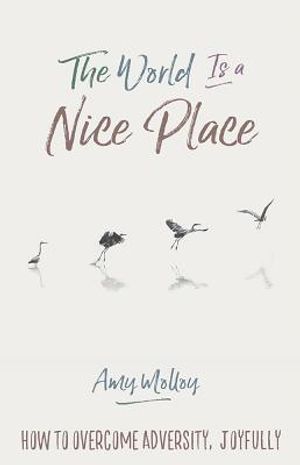 The World Is a Nice Place: How to Overcome Adversity, Joyfully image number 0