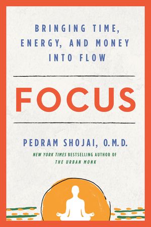 Focus: Bringing Time, Energy, and Money Into Flow image number 0