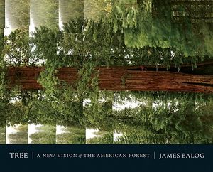 Tree: A New Vision of the American Forest image number 0