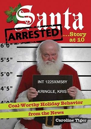 Santa Arrested . . . Story at 10: Coal-Worthy Holiday Behavior from the News image number 0