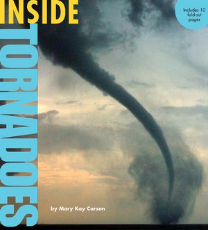 Inside Tornadoes image number 0