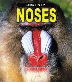 Noses image number 0