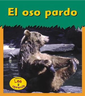 El Oso Pardo image number 0