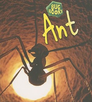Ant image number 0
