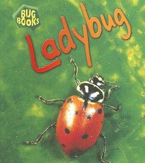 Ladybug image number 0