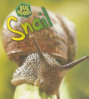 Snail image number 0