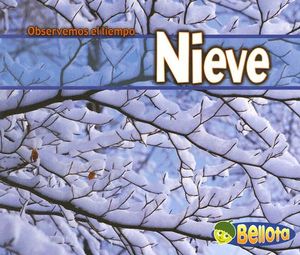 Nieve = Snow image number 0