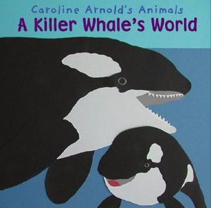 A Killer Whale's World image number 0