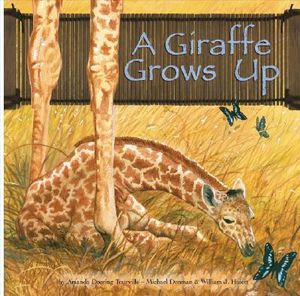 A Giraffe Grows Up image number 0