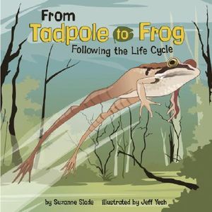 From Tadpole to Frog: Following the Life Cycle image number 0