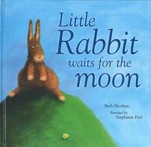 Little Rabbit Waits for the Moon image number 0